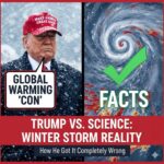 Trump thinks giant US winter storm exposed global warming 'con': How he got it completely wrong